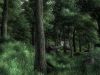 Elder Scrolls IV Oblivion